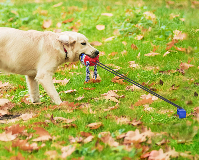 Anti Boredom Fun Dog Ball Toy With Ground Stake