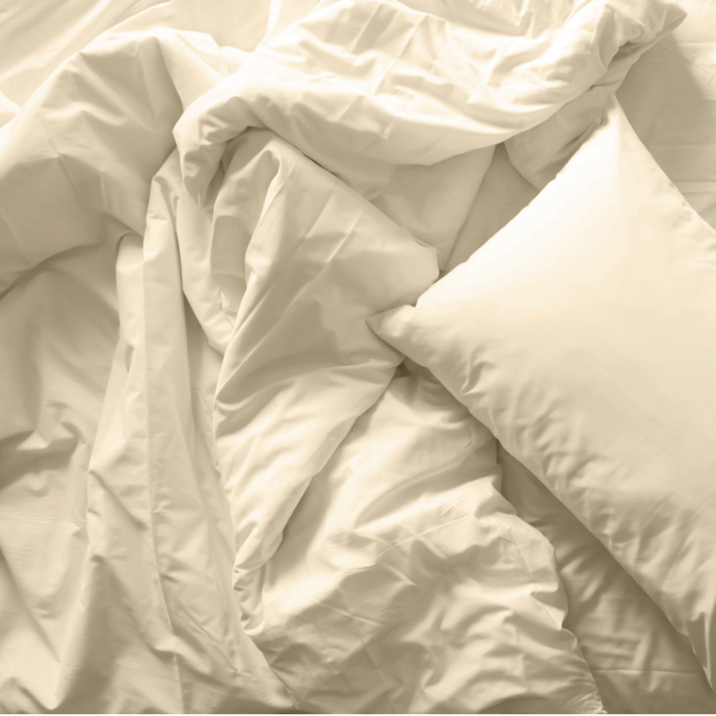 Royal Comfort Blended Bamboo Quilt Cover Set Dark Ivory Double