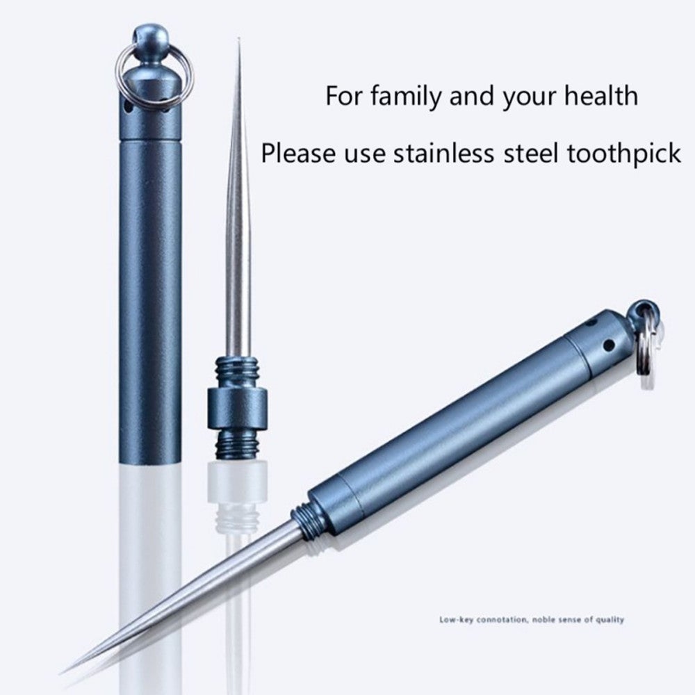 3Pcs Outdoor Toothpick Bottle Fruit Fork Stainless Steel With Protective Case