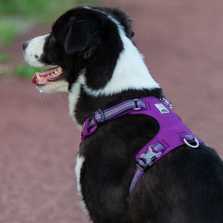 True Love Lightweight Reflective Harness Purple