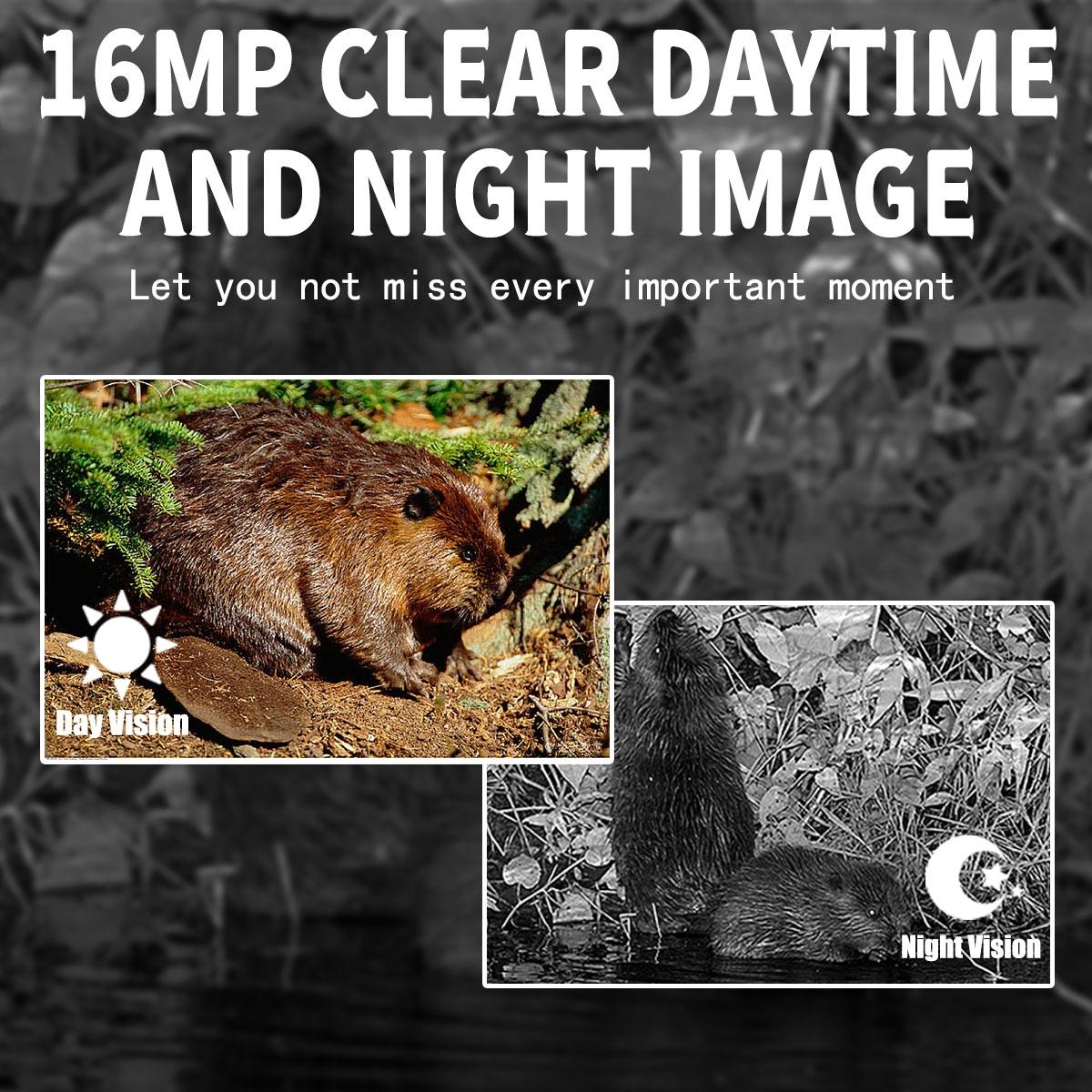 16 Megapixel Outdoor Camera With Night Vision And Motion Activation