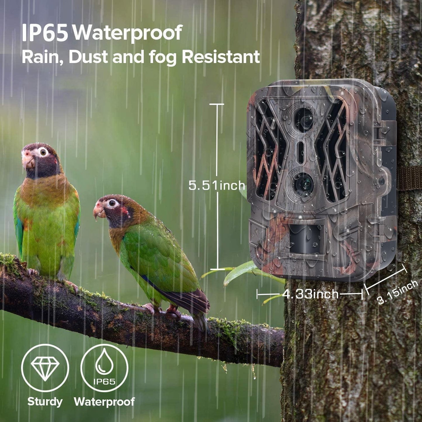 50 Megapixel 4K Dual Lens Infrared Camera For Outdoor Use