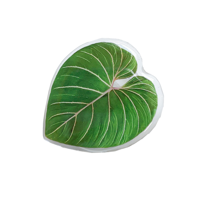 Cute Green Leaves Smart Phone Holder Finger Stand