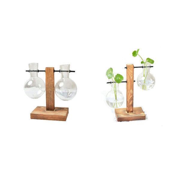 Duo Terrarium Vase Indoor Plants Decor