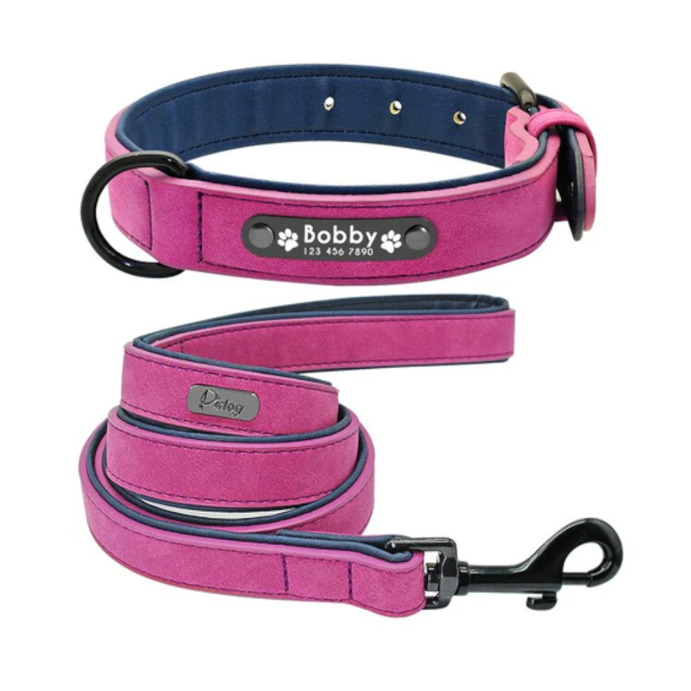 Vibrant Colours Personalized Dog Collars Leashes