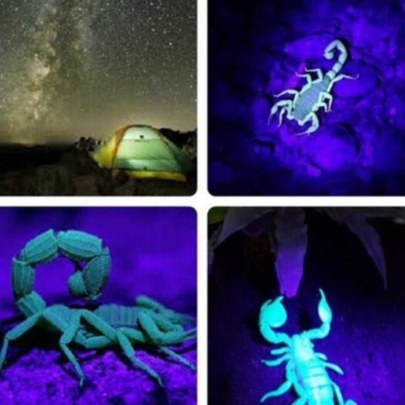 100 Led Uv Flashlight For Pet Urine Fluorescent Reagent Detection Black