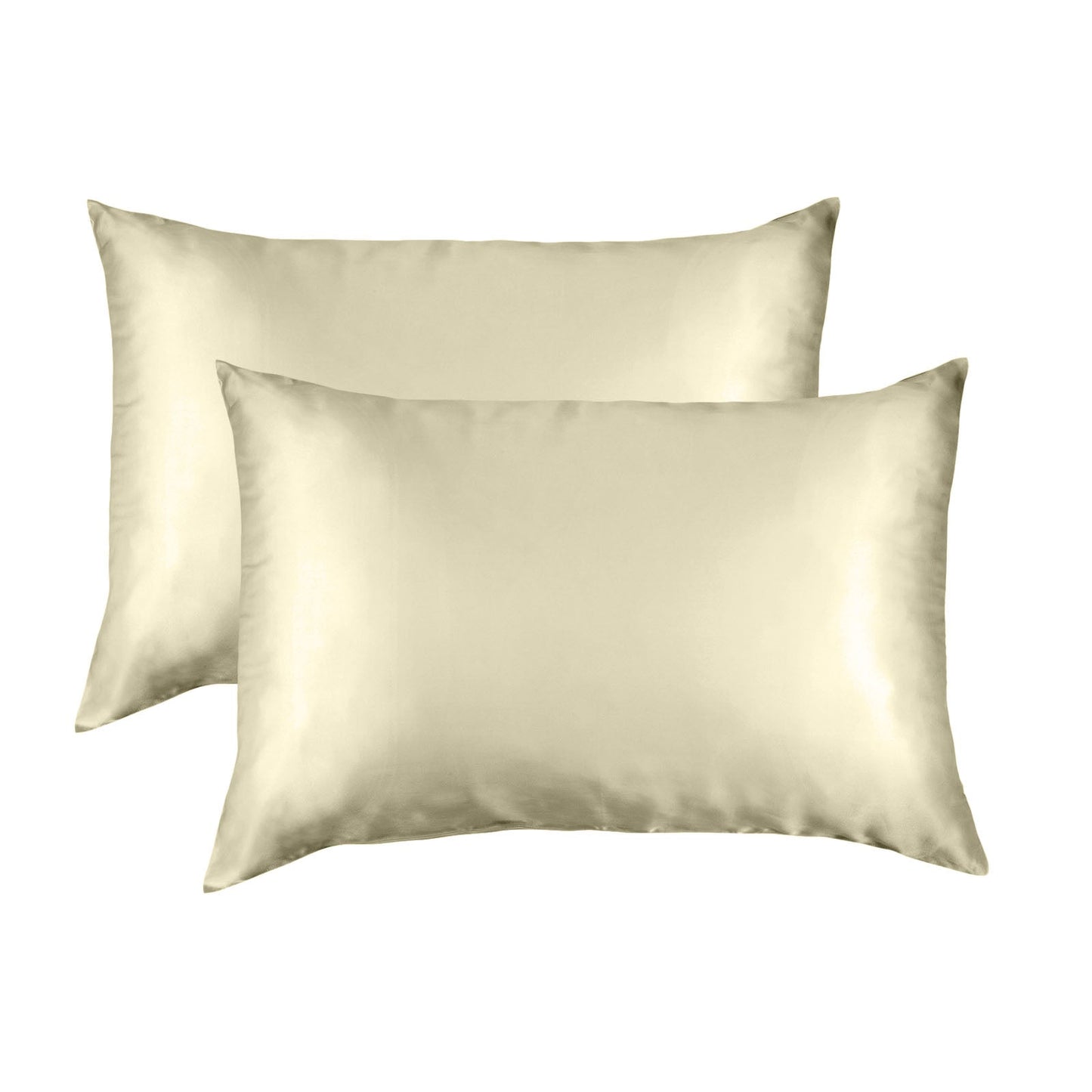 Silk Pillow Case Twin Pack Size: 51X76cm Sage