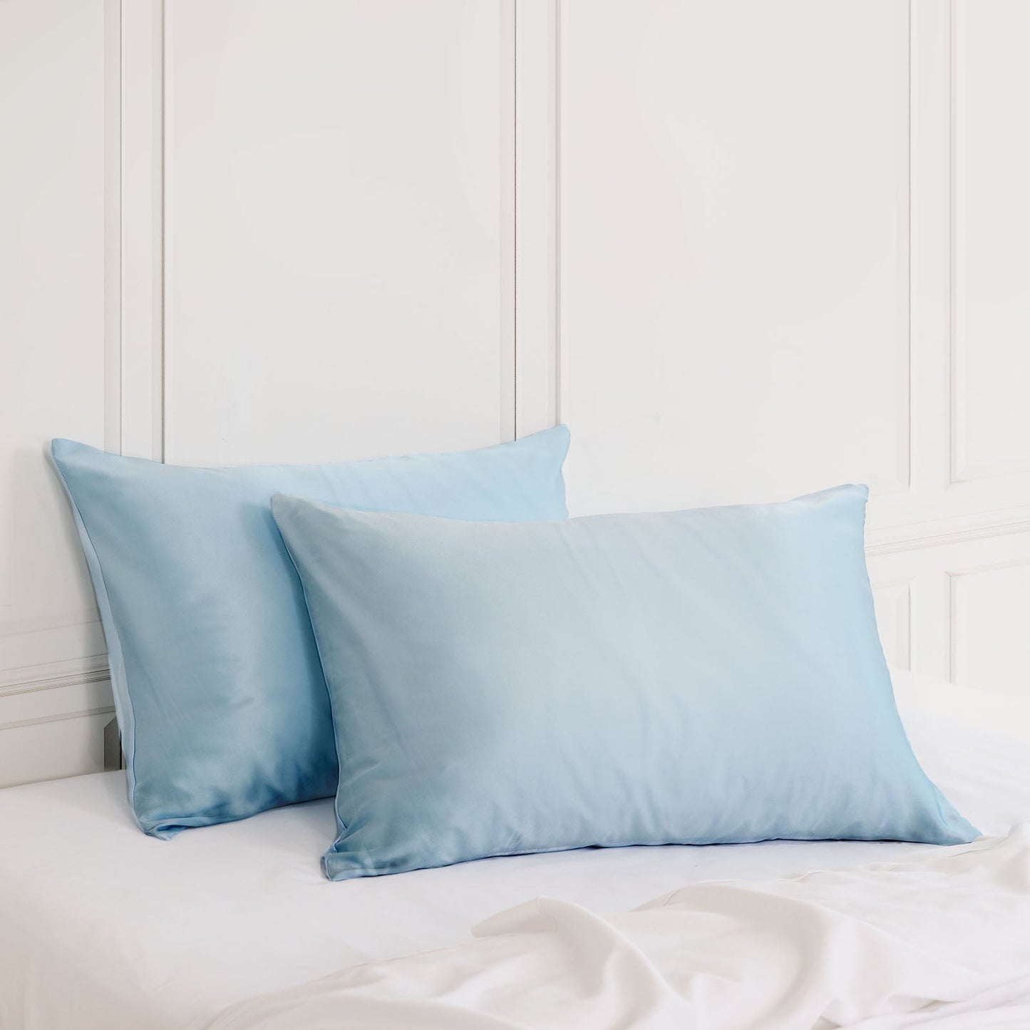 Silk Pillow Case Twin Pack Size: 51X76cm Soft Blue