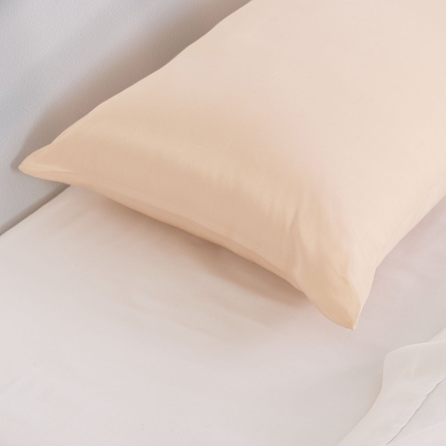 Pure Silk Pillow Case By Royal Comfort (Single Pack) - Champagne Pink