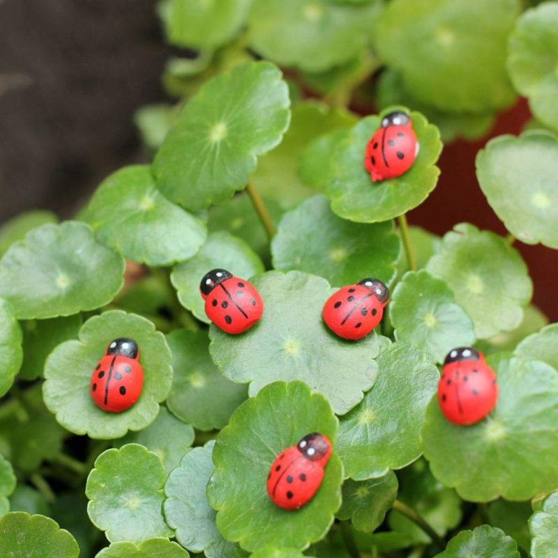 100Pcs Self Adhesive Mini Ladybug Micro Landscape Decor Diy Craft