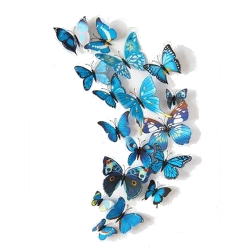 12 Pcs / Set Rainbow Colourful 3D Pvc Butterfly Wall Sticker Decor
