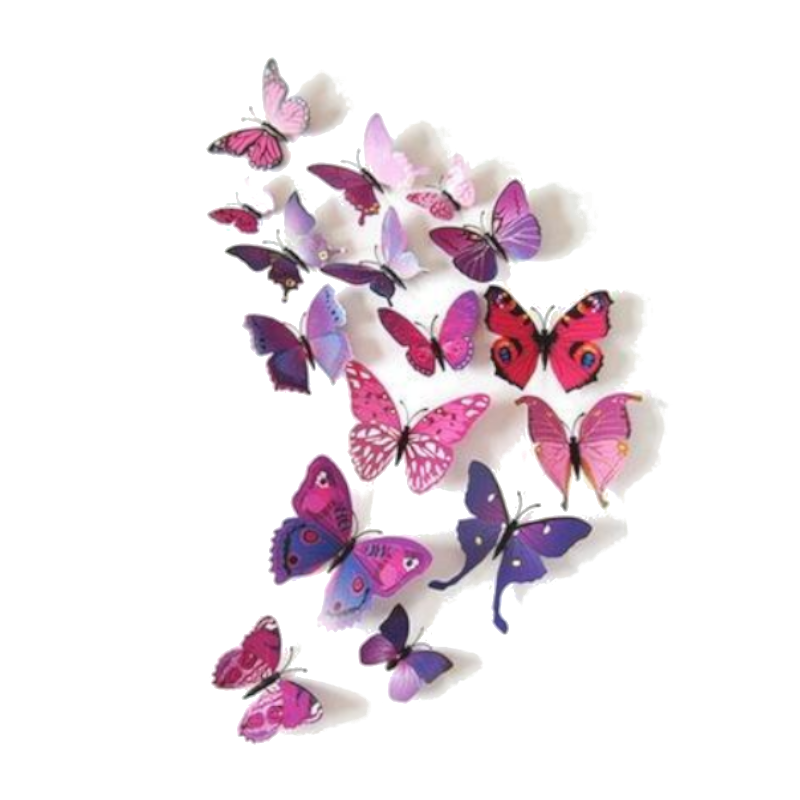 12 Pcs / Set Rainbow Colourful 3D Pvc Butterfly Wall Sticker Decor