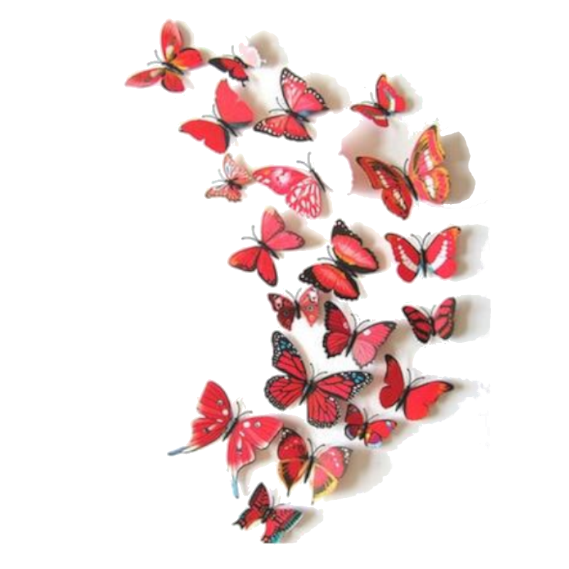 12 Pcs / Set Rainbow Colourful 3D Pvc Butterfly Wall Sticker Decor