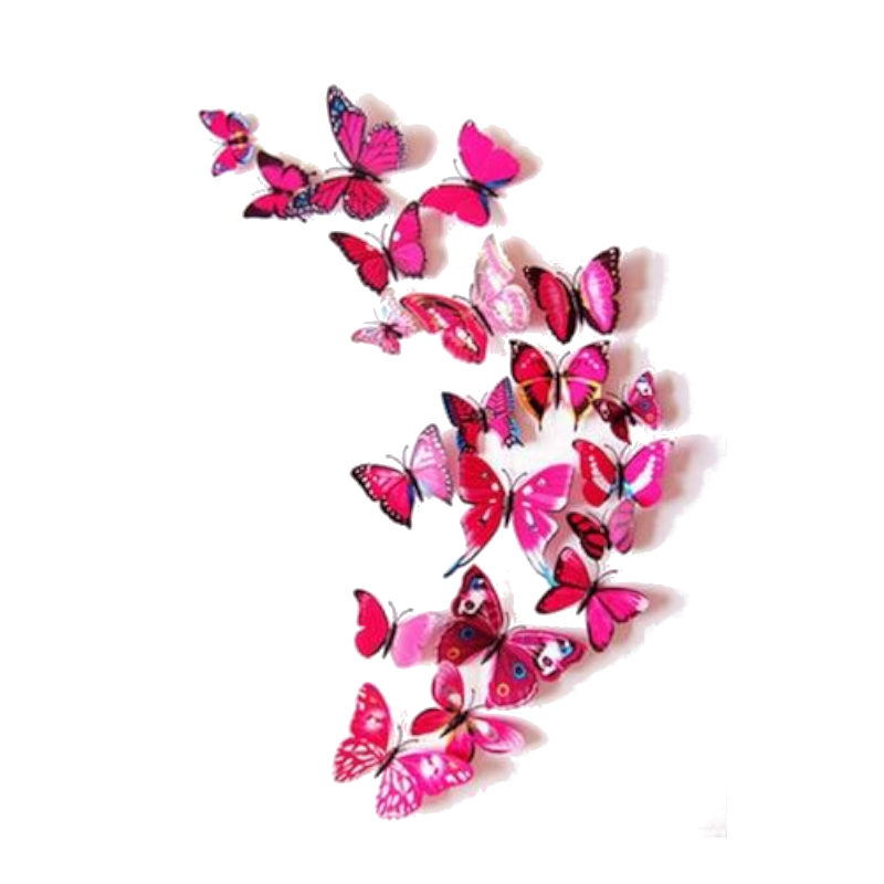 12 Pcs / Set Rainbow Colourful 3D Pvc Butterfly Wall Sticker Decor