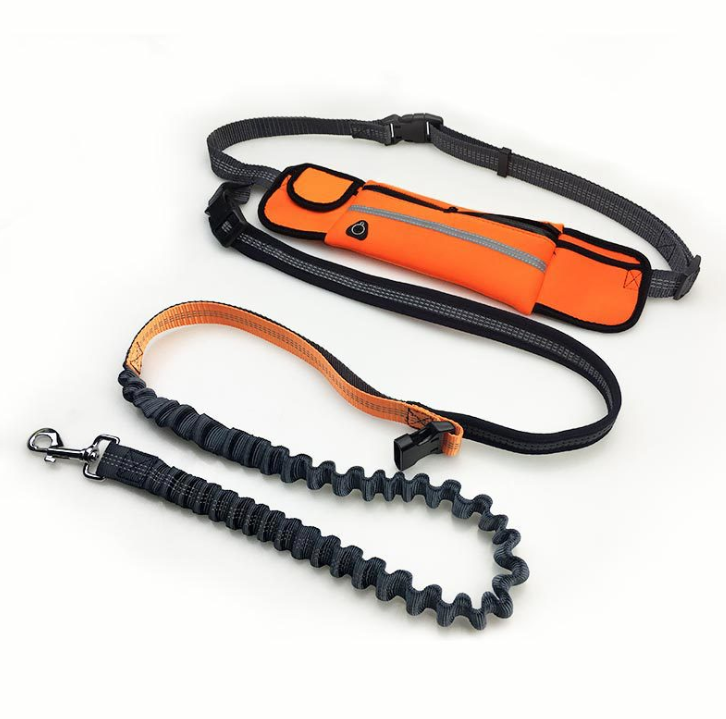 Shock Absorbing Hands Free Dog Running Leash With Waist Pocket