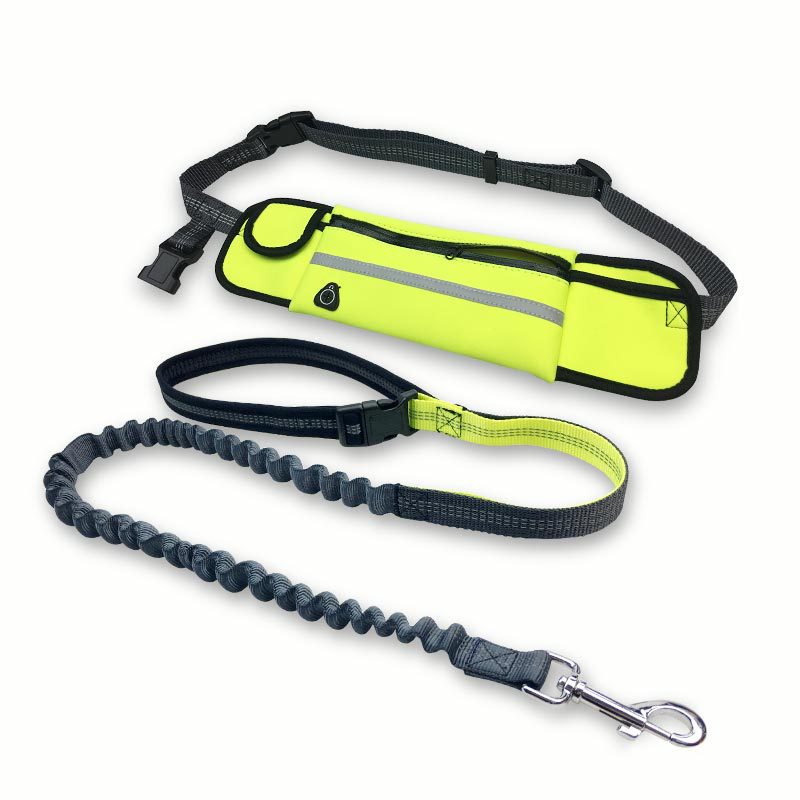 Shock Absorbing Hands Free Dog Running Leash With Waist Pocket