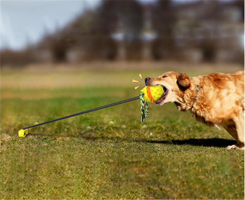 Anti Boredom Fun Dog Ball Toy With Ground Stake