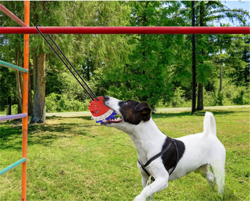 Anti Boredom Fun Dog Ball Toy With Ground Stake