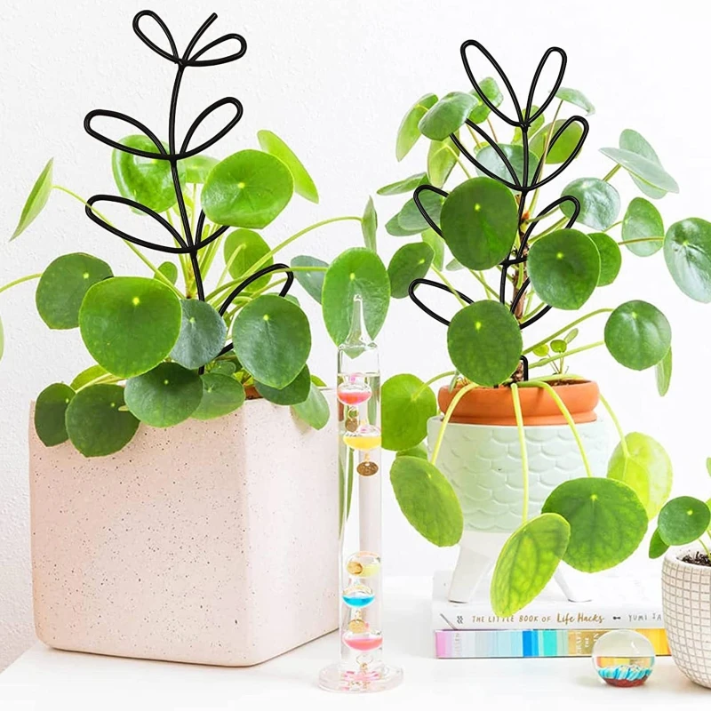Plant Climbing Support Rack Multifunctional Metal Iron Flower Pots Vine Stand Holder For Home Garden Growth Accessories