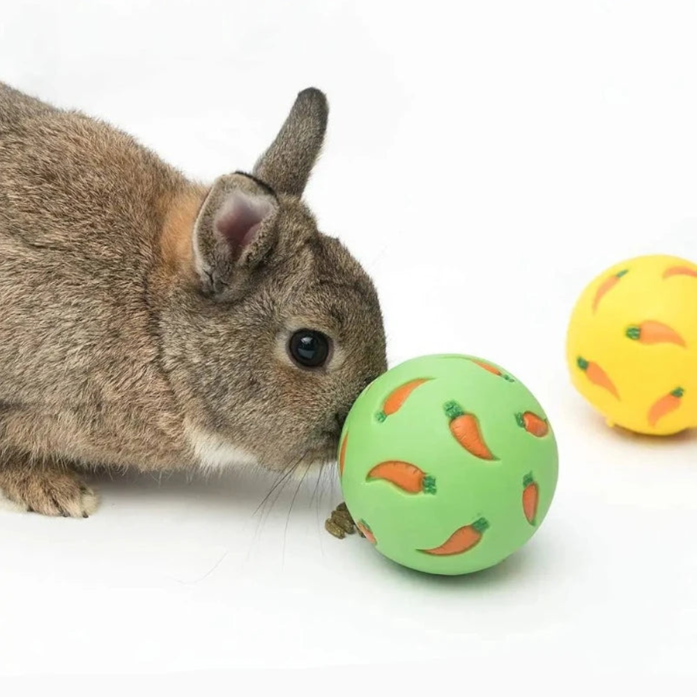 1Pcs Rabbit Treat Ball Pet Slow Feeder Interactive Bunny Toy Snack Bite Resistant Feeding Toys Ferret Kitty Hamster