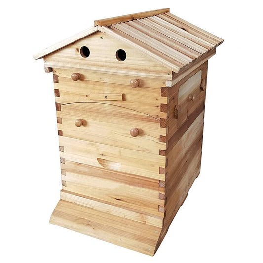 Beekeeping Beehive Housebox With Autoflowing Honey Frames Topgrade