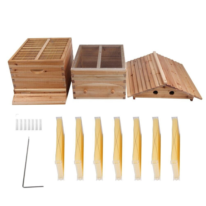 Beekeeping Beehive Housebox With Autoflowing Honey Frames Topgrade