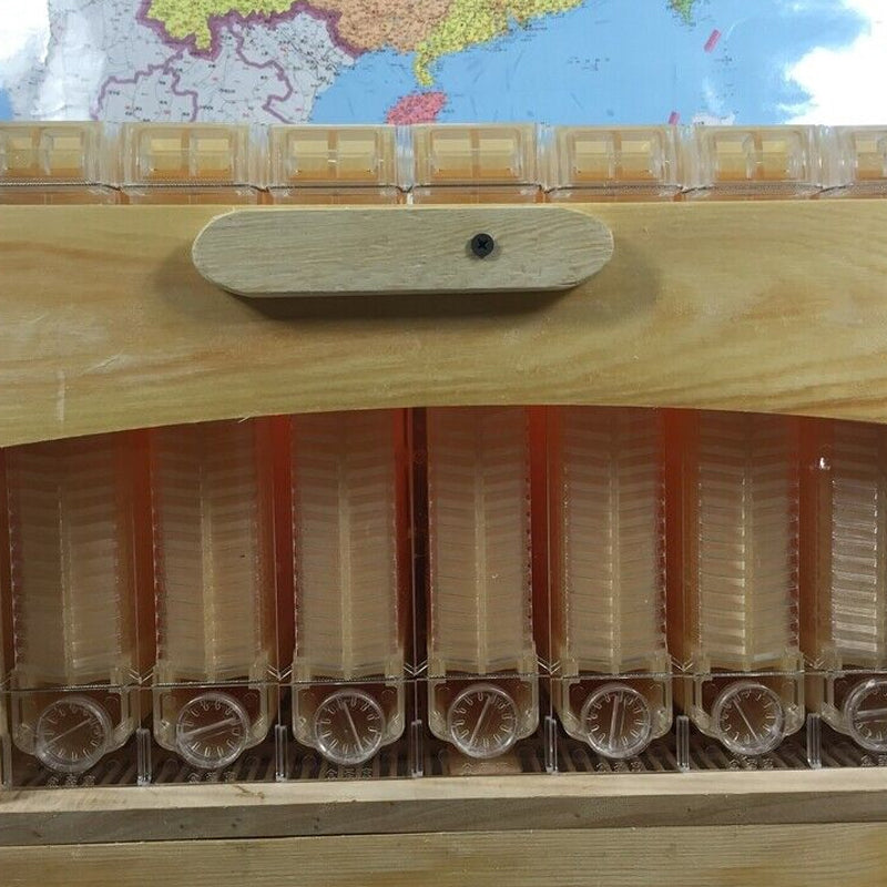 Beekeeping Beehive Housebox With Autoflowing Honey Frames Topgrade