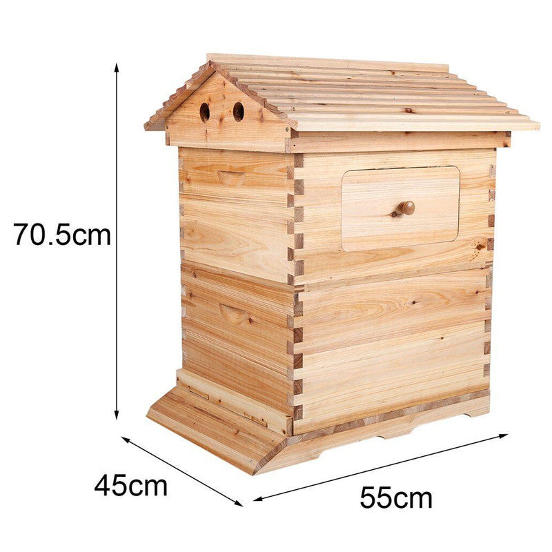 Beekeeping Beehive Housebox With Autoflowing Honey Frames Topgrade