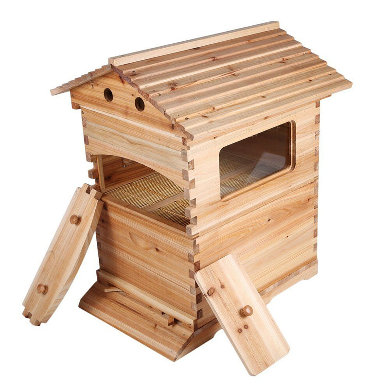 Beekeeping Beehive Housebox With Autoflowing Honey Frames Topgrade