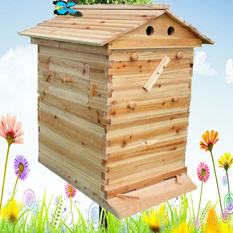 Beekeeping Beehive Housebox With Autoflowing Honey Frames Topgrade