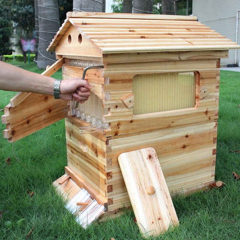 Beekeeping Beehive Housebox With Autoflowing Honey Frames Topgrade