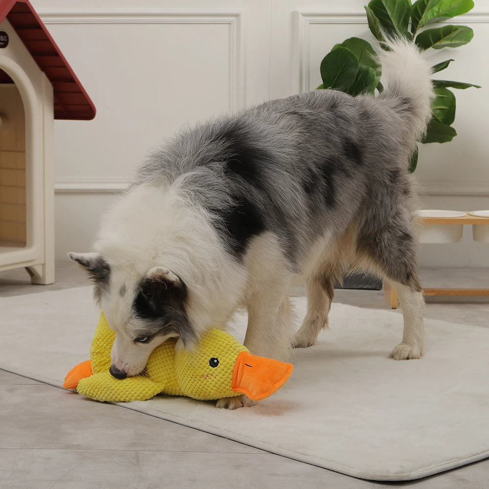 Cute Plush Duck Squeaky Dog Toy With Soft Squeaker Fun Entertaining Chew