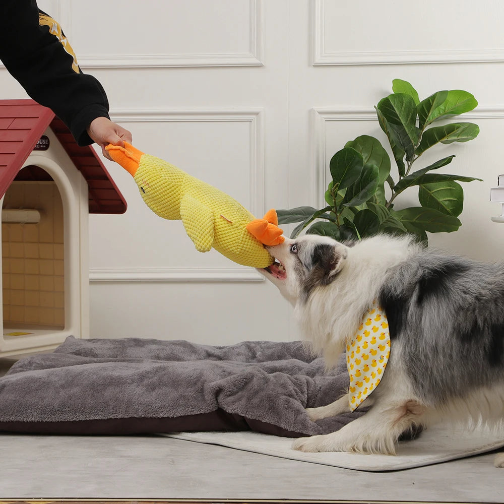 Cute Plush Duck Squeaky Dog Toy With Soft Squeaker Fun Entertaining Chew