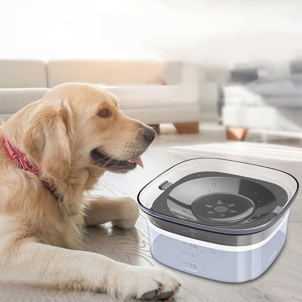 Petswol 2L No Spill Dog Bowl | Large Capacity Slow Water Feeder For Clean And Healthy Drinking