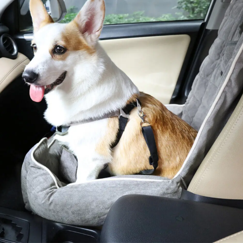 Anti Slip Pet Booster Seat With Storage Pockets And Safety Leash