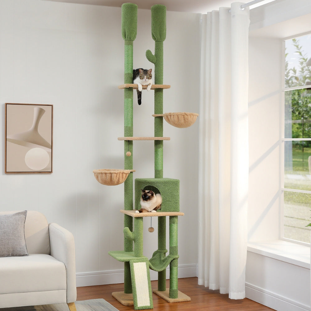 Cactus Cat Tree Floor To Ceiling Tower With Heigh
