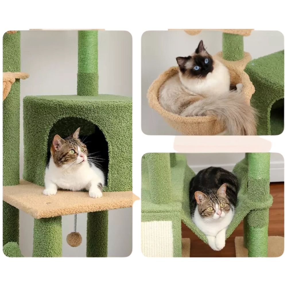 Cactus Cat Tree Floor To Ceiling Tower With Heigh