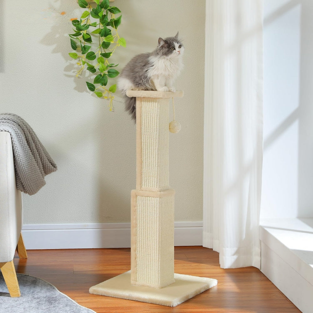 80Cm Cat Scratching Post For Indoor Scratcher With Nature Sisal Ball