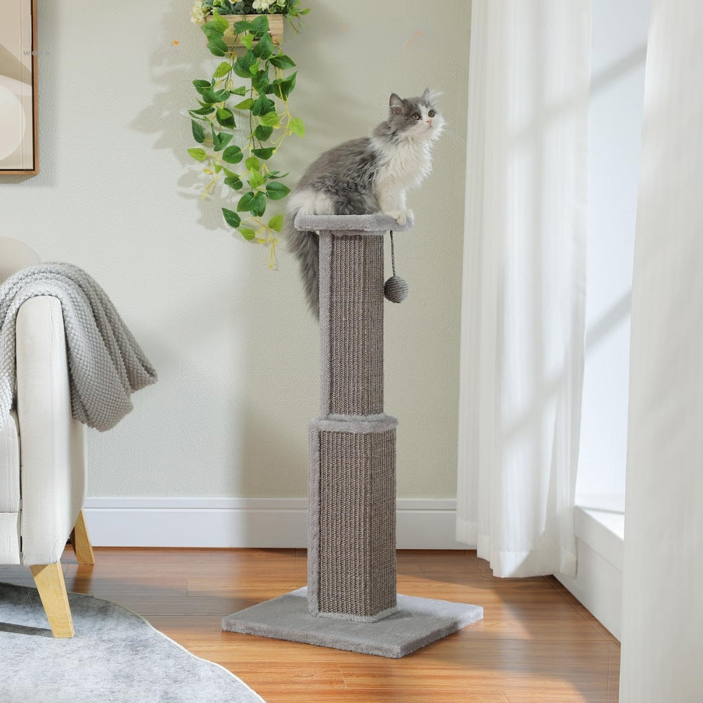 80Cm Cat Scratching Post For Indoor Scratcher With Nature Sisal Ball