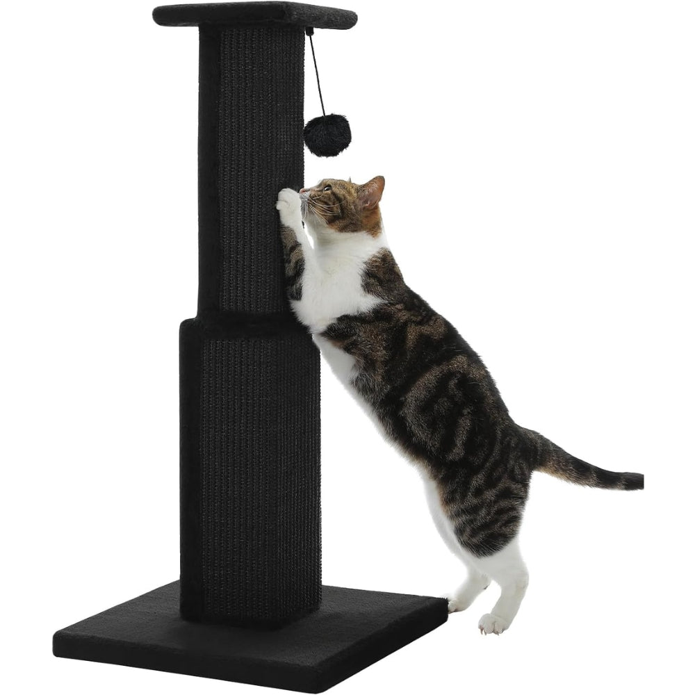 80Cm Cat Scratching Post For Indoor Scratcher With Nature Sisal Ball
