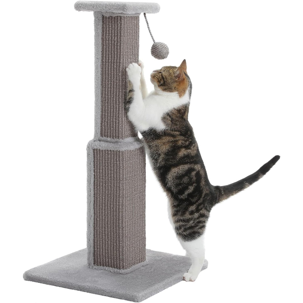 80Cm Cat Scratching Post For Indoor Scratcher With Nature Sisal Ball