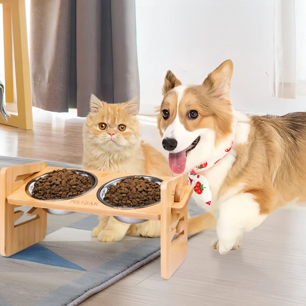 Bamboo Elevated Dog Bowls With Stainless Steel Food