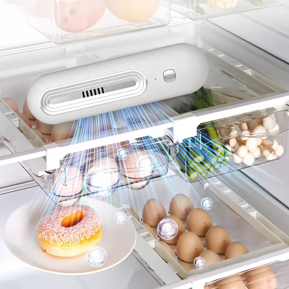 Refrigerator Deodorizer And Purifier For Odor Free Food Storage Long Shelf Life