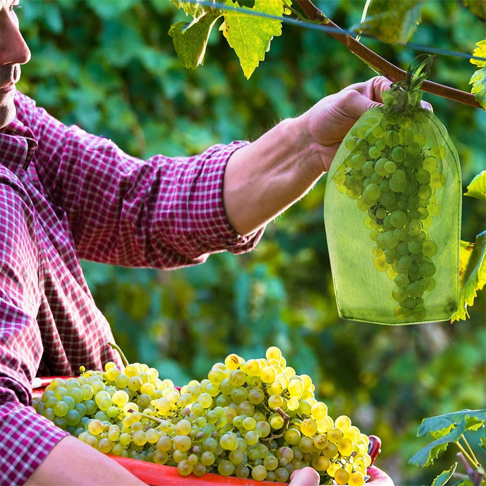 50Pcs Agriculture Garden Fruit Bag Vegetable Protection Exclusion Mesh Net Bags