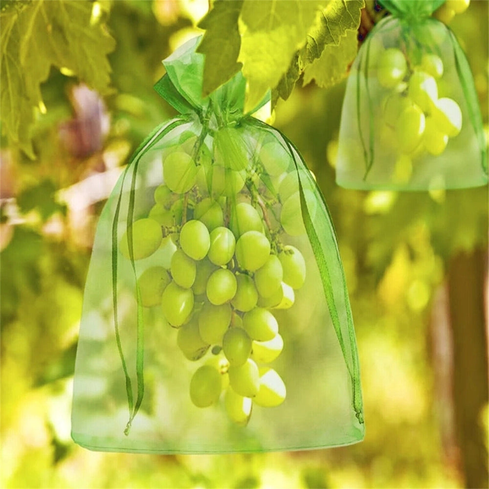 50Pcs Agriculture Garden Fruit Bag Vegetable Protection Exclusion Mesh Net Bags