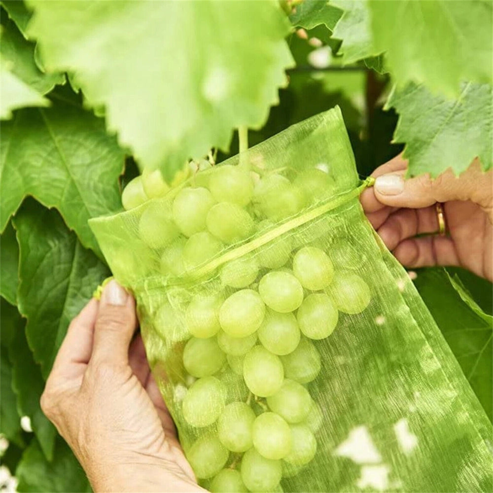 50Pcs Agriculture Garden Fruit Bag Vegetable Protection Exclusion Mesh Net Bags