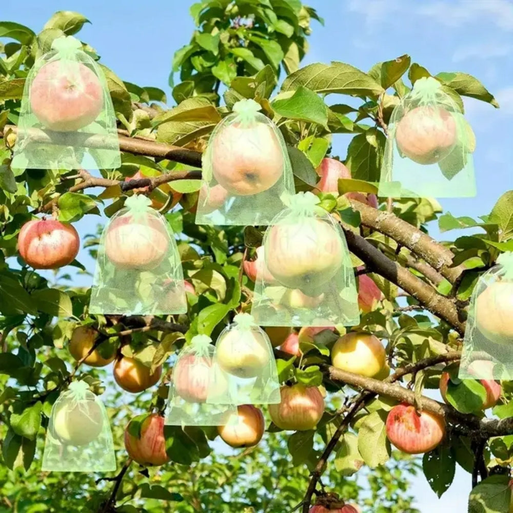 50Pcs Agriculture Garden Fruit Bag Vegetable Protection Exclusion Mesh Net Bags