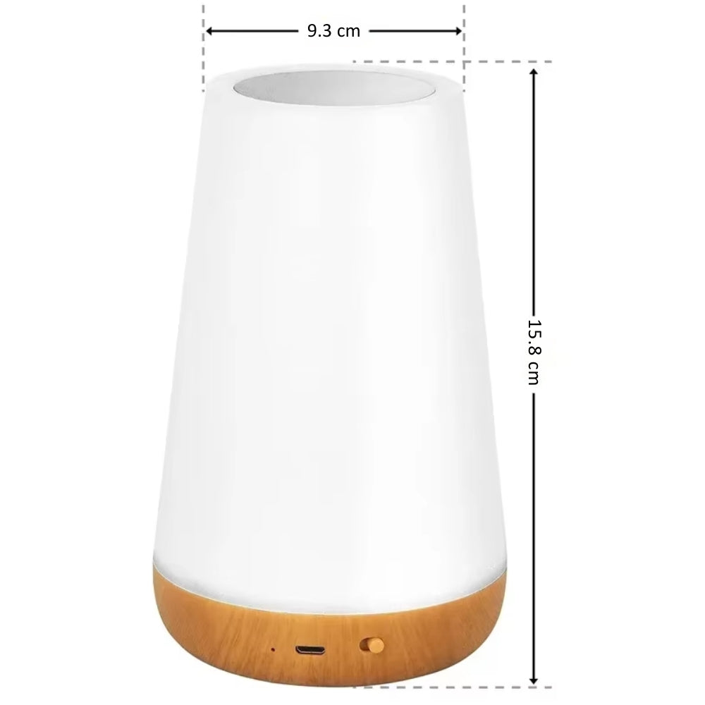 13 Color Changing Night Light With Remote And Touch Control