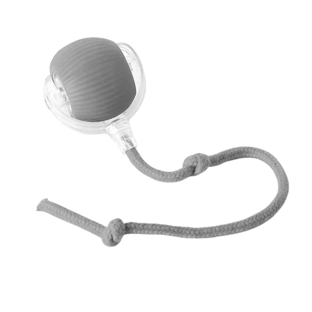 Toy Dog Cat Interactive Rechargeable Rolling Ball With Faux Tail