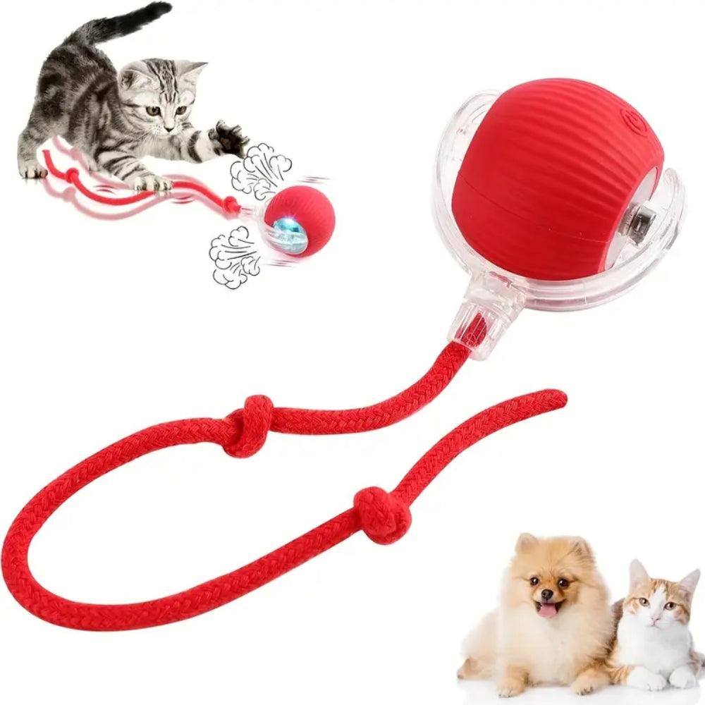 Toy Dog Cat Interactive Rechargeable Rolling Ball With Faux Tail